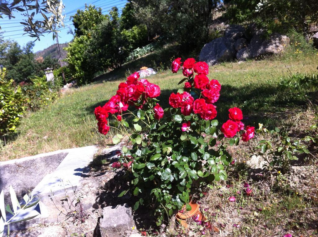 Al Vivenda Romantica Geres Eksteriør bilde